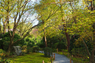 ryoanji20180331-07