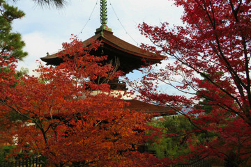 jojakoji20181126-08