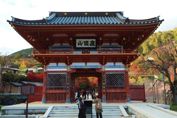 katuoji20181114-01