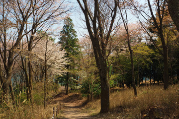 byobuiwa20180410-05