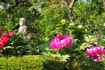 sekkoji20170430-07