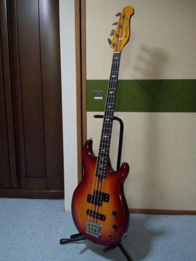 DCIM0098_convert_20120617211719.jpg