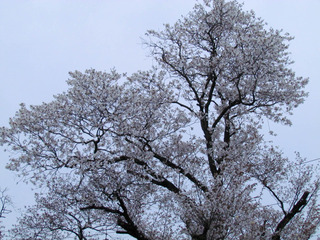 2012-04-13_001
