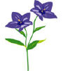 fig03