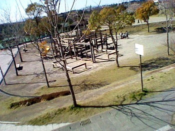 9208b4b7.jpg
