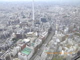 IMGP0265