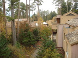 b12d447e.jpg