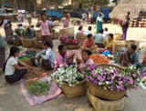 bagan4