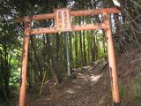白高大神5