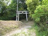 白高大神2