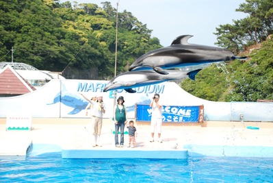 下田海中水族館 (58)