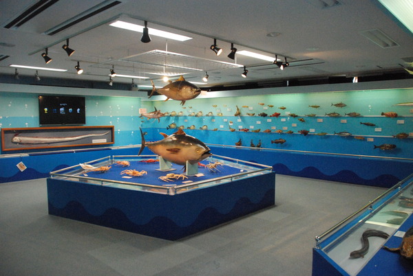 海の文化館 (2)
