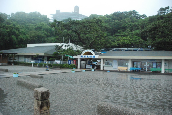 桂浜水族館 (1)