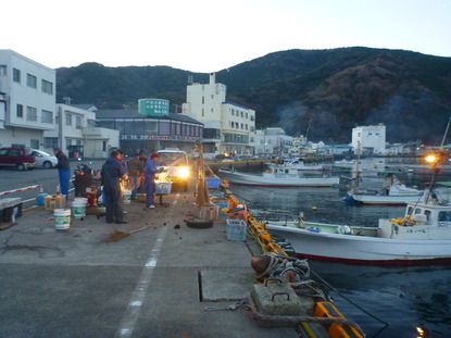 戸田港 釣り (10)