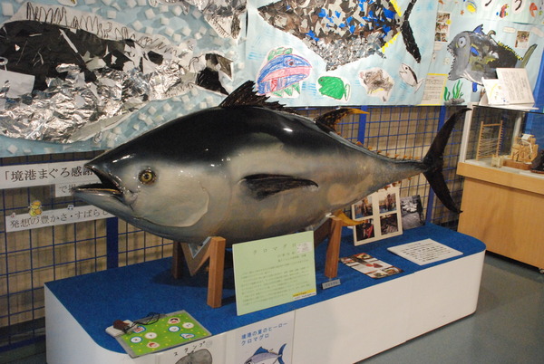 日本一の魚の剥製水族館 (4)