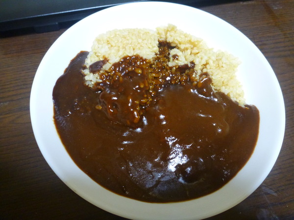 チョコレートカレー (3)