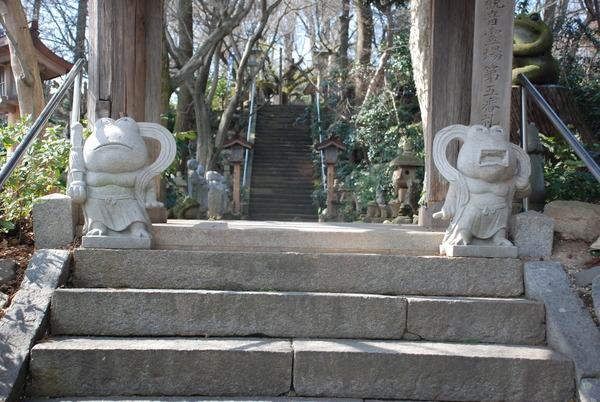 かえる寺 (15)