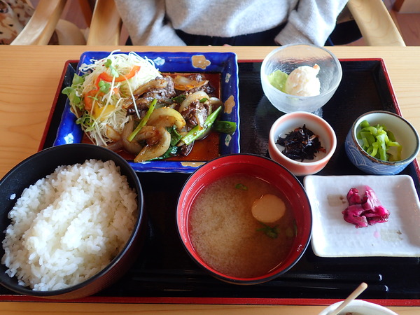 道の駅たいじ (22)