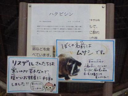 平塚市ふれあい動物園 (4)