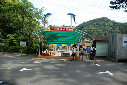 下田海中水族館 (35)