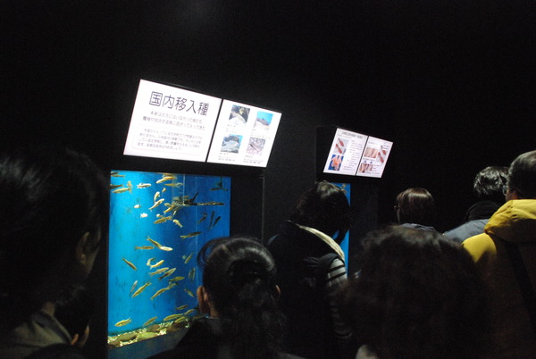 加茂水族館 (2)