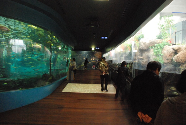 山梨県立富士湧水の里水族館 (19)