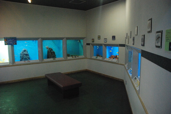 桂浜水族館 (39)