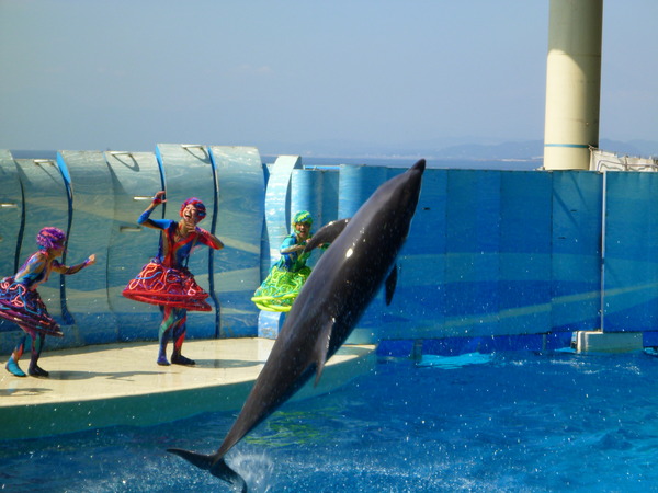 江ノ島水族館 (49)