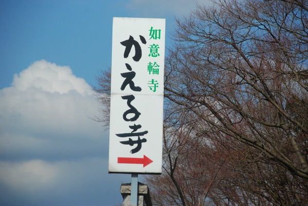 かえる寺 (1)