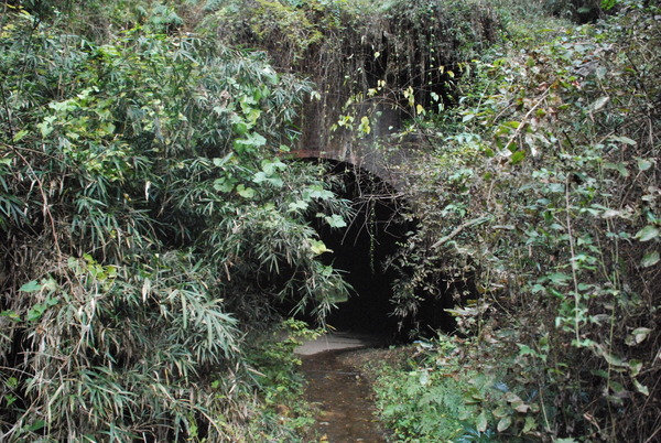 畑トンネル (8)
