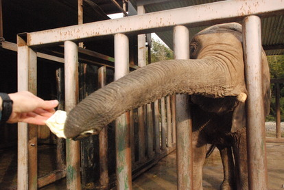 しろとり動物園 (25)