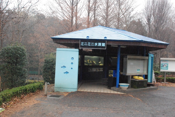 狭山市立智光山公園こども動物園 (2)