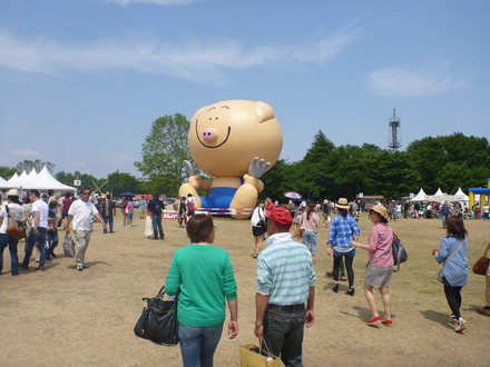 まんパク2013 (8)