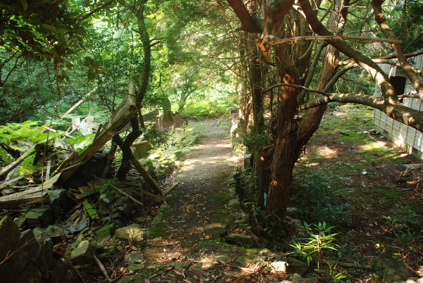 廃村・寒川 (27)