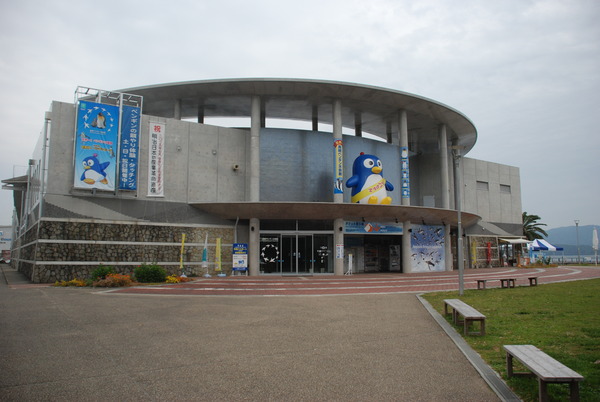 長崎ペンギン水族館 (1)