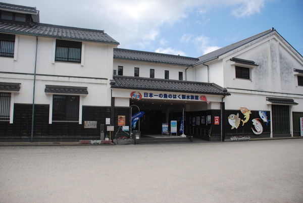 日本一の魚の剥製水族館 (1)