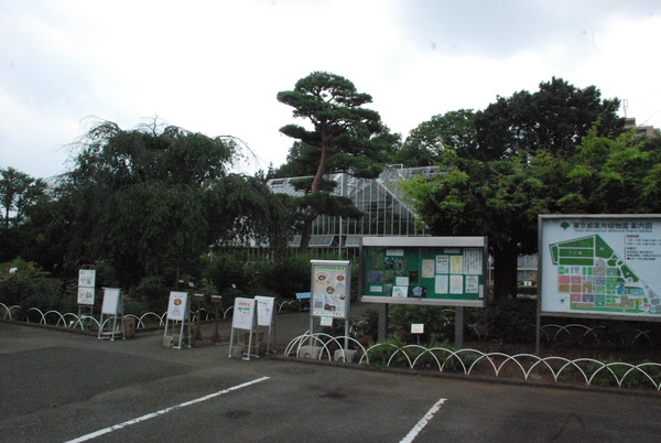 東京都薬用植物園 (1)