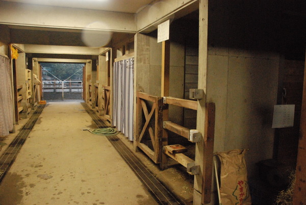 狭山市立智光山公園こども動物園 (44)