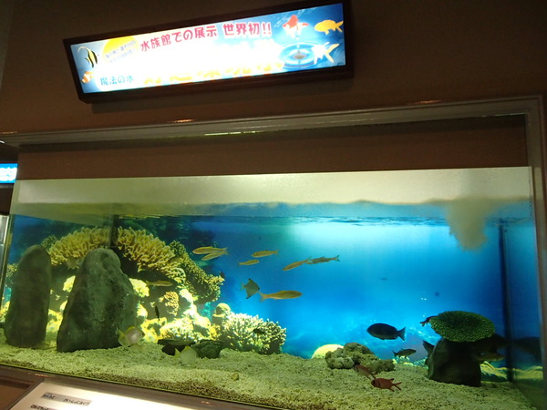 箱根園水族館 (125)