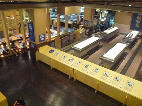 かまぼこ博物館 (9)