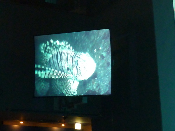 江ノ島水族館 (42)