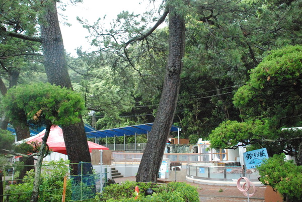 桂浜水族館 (70)