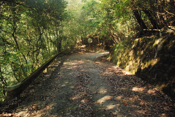 廃村・寒川 (1)