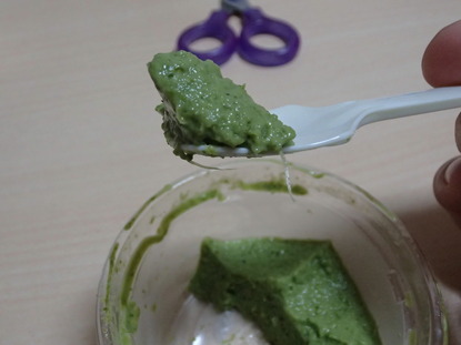 野菜プリン (9)