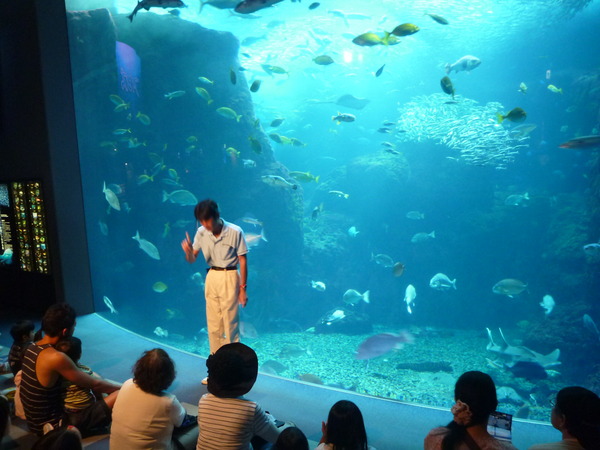 江ノ島水族館 (40)