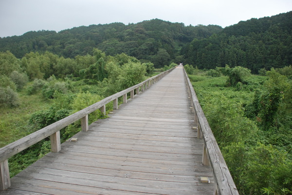 蓬莱橋 (15)