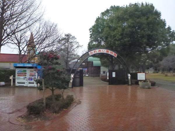平塚市ふれあい動物園 (1)