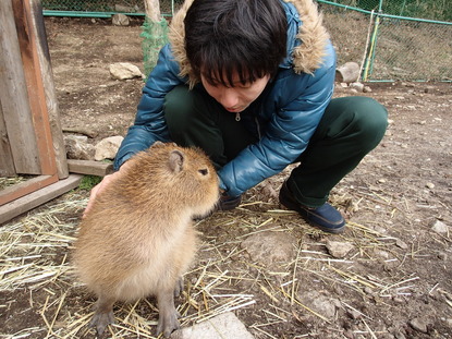 伊豆アニマルキングダム (41)