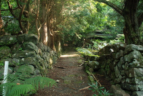 廃村・寒川 (9)