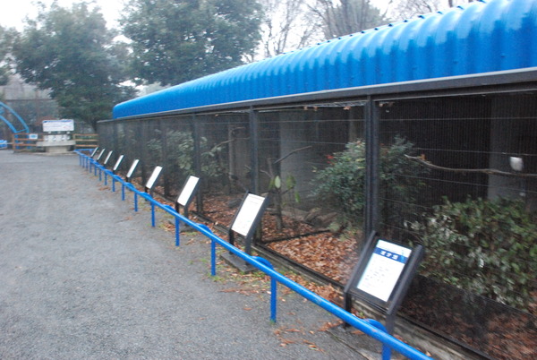 狭山市立智光山公園こども動物園 (32)